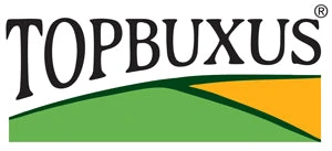 topbuxus.com